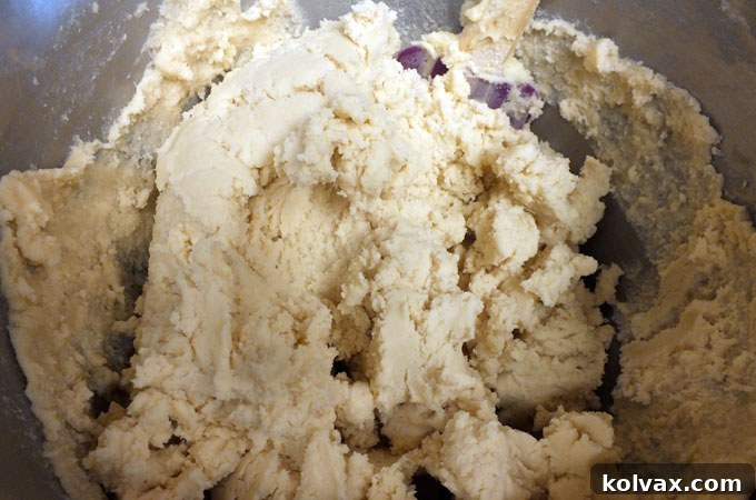 Finished Sugar Cookie Dough