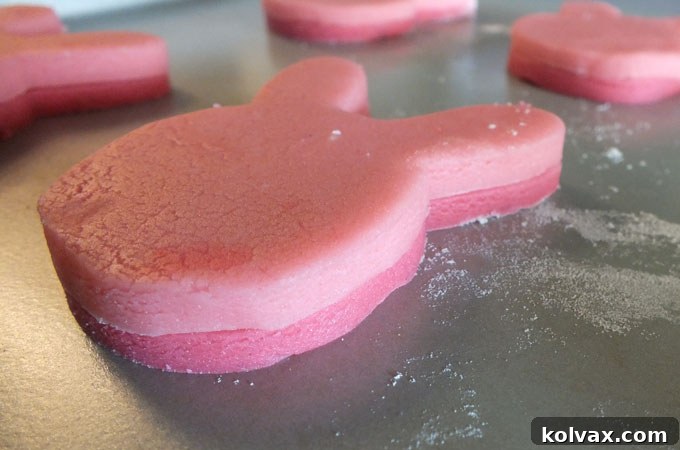 Ombre Easter Cookies second layer