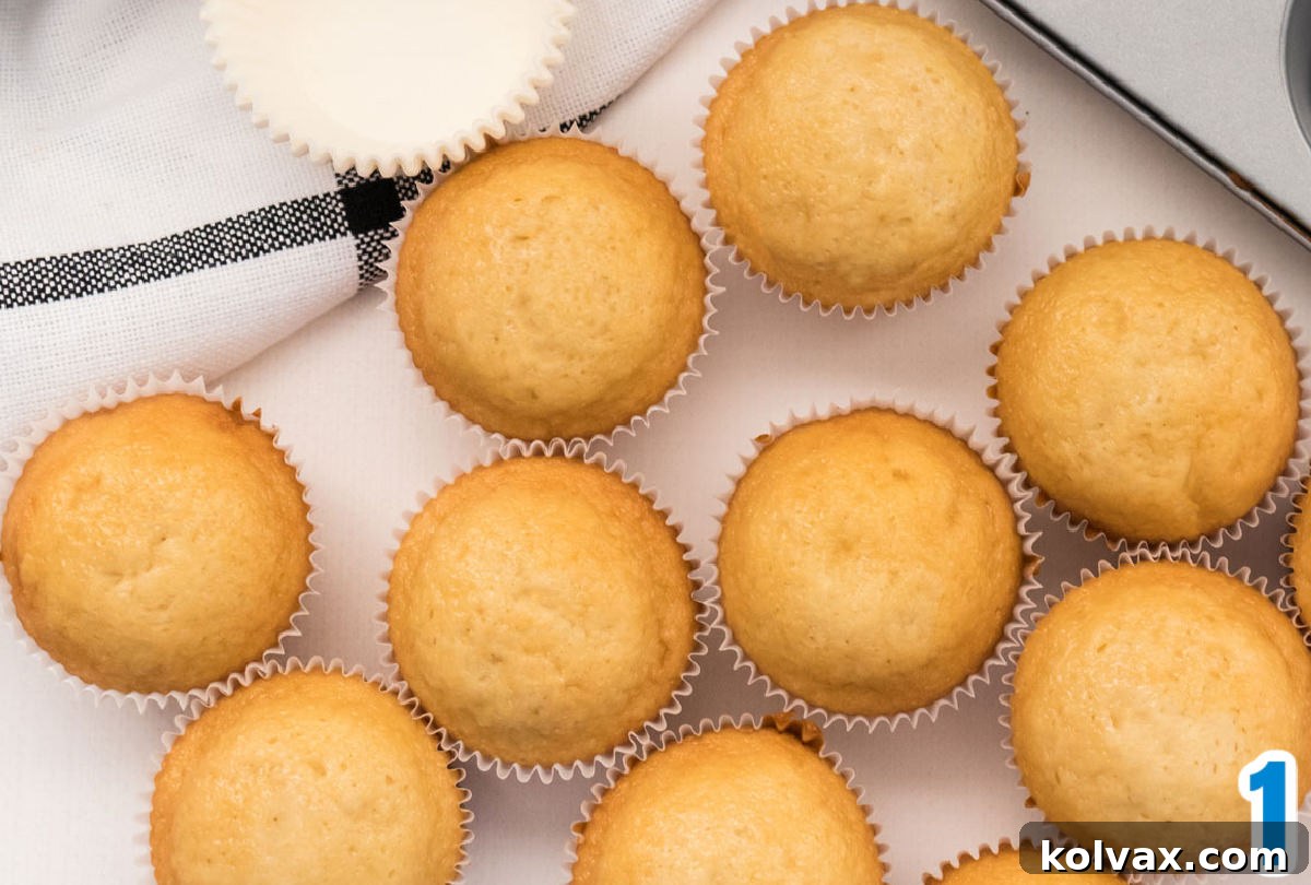 A perfectly baked dozen vanilla cupcakes, still warm, resting on a white table beside a metal cupcake tin and a neat black and white towel, ready for the next step of decoration.