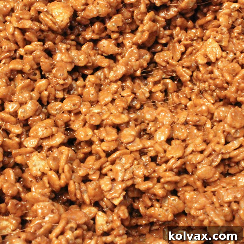 Earthy brown colored Rice Krispie Treats, versatile for natural themes.