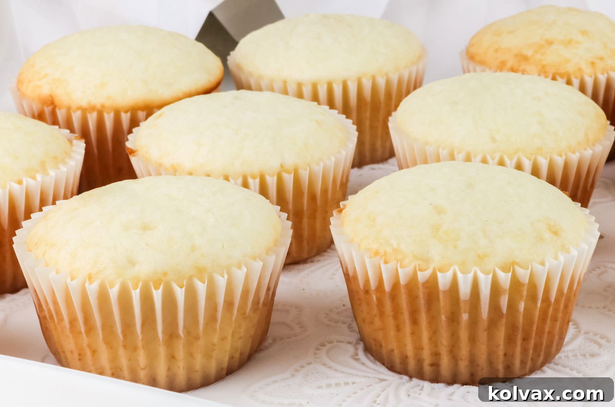 A freshly baked batch of unfrosted white cupcakes, perfectly risen with rounded tops, arranged neatly on a cooling rack. They appear light and fluffy.