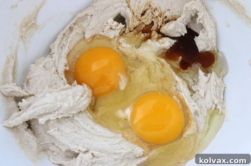 Adding fresh eggs and pure vanilla extract to the creamed butter and sugar mixture, vital steps for enriching the chocolate cookie batter.