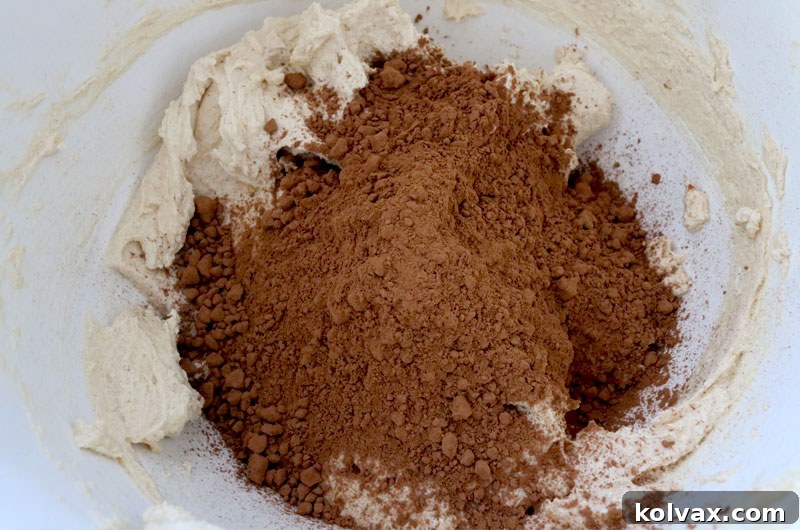 Adding rich unsweetened cocoa powder to the wet ingredients, a key step for achieving a deep, intense chocolate flavor in the cookies.