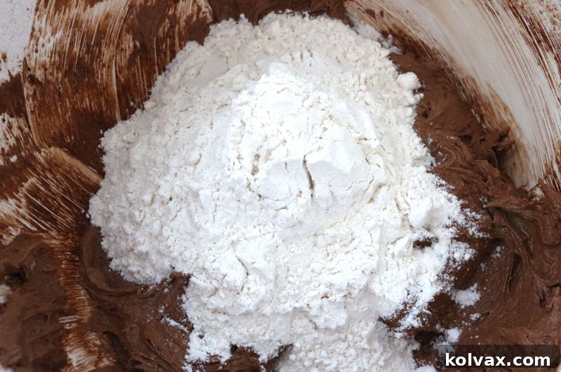 Gradually adding all-purpose flour along with baking soda to the chocolate cookie batter, mixing gently for the perfect dough consistency.