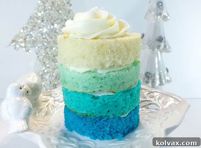 Disney Frozen Ombre Mini Cakes for a Frozen Birthday Party - so beautiful and very yummy! Try this unique take on a Frozen Cupcake for your own Frozen Party. And follow us for more great Frozen Party Ideas.