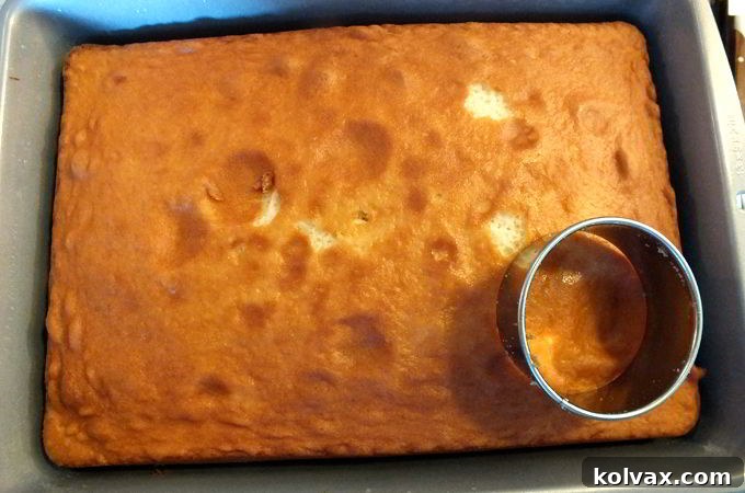 Cake with Biscuit Cutter