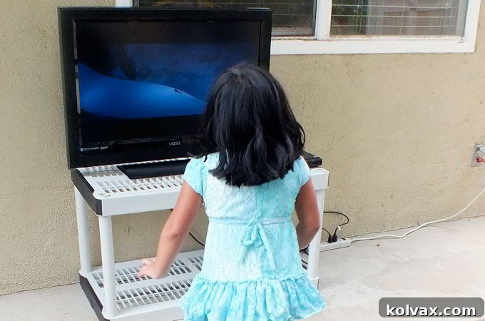 Turn on the DVD player and start the Frozen movie for your party guests.