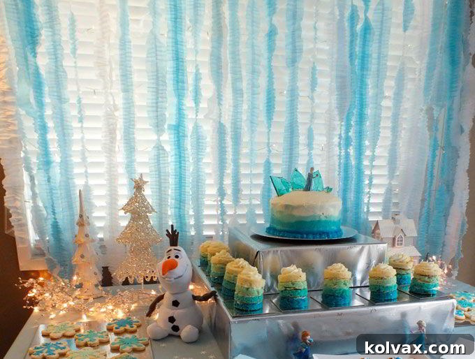Frozen Ruffled Streamer Backdrop handing at the Frozen Party