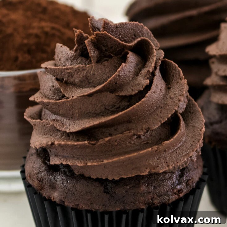 A beautifully frosted chocolate cupcake showcasing The Best Dark Chocolate Buttercream Frosting, rich and inviting.