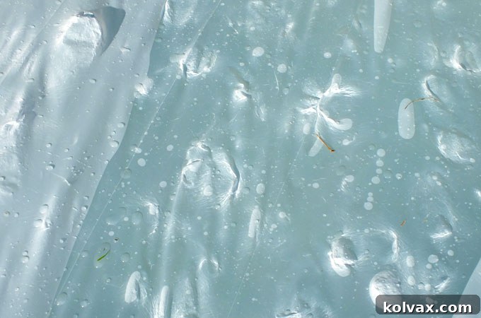 Water Blob Durability Test: Scuffs and Tears After Minutes of Play