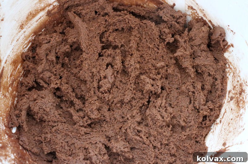 Freshly prepared chocolate cookie dough, ready for shaping and baking.