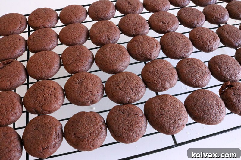 Golden-brown chocolate cookies freshly baked and removed from the oven, resting on a cooling rack.