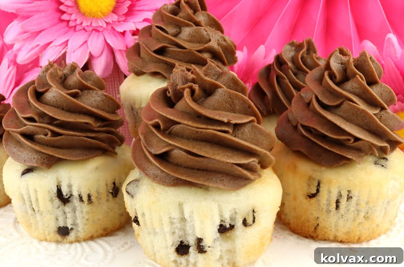 Delicious Chocolate Chip Cupcakes topped with elegant Mocha Whipped Cream Frosting, ready to be enjoyed. A perfect easy dessert for any occasion.
