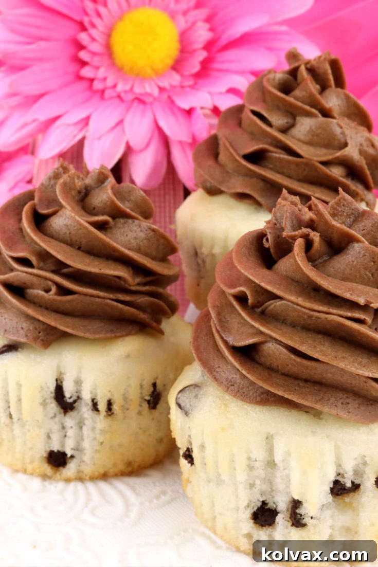 Chocolate Chip Cupcakes with Mocha Whipped Cream Frosting