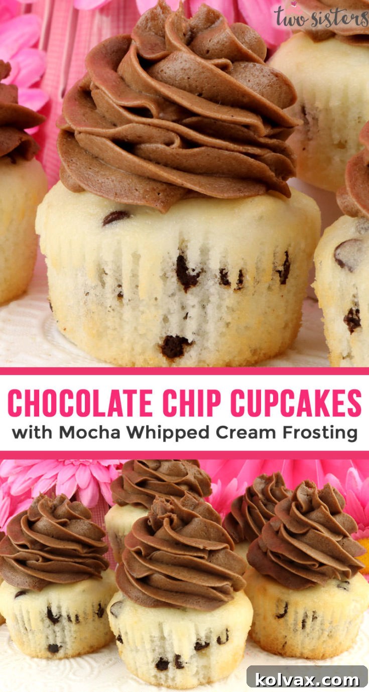 Chocolate Chip Cupcakes with Mocha Whipped Cream Frosting - a delightful and easy dessert recipe.