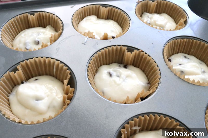 Cupcake liners filled three-quarters full with chocolate chip batter, arranged on a baking tray and ready for the oven.