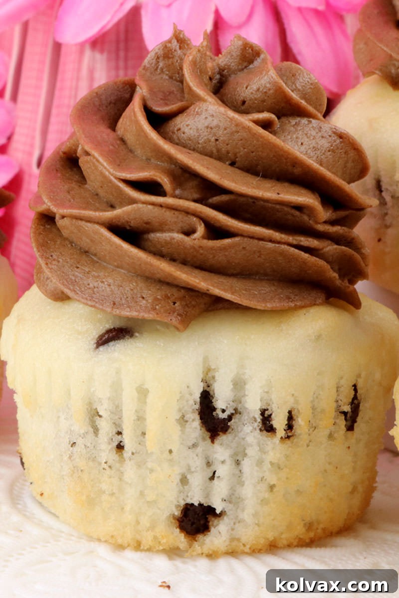 Beautifully piped Chocolate Chip Cupcakes with a swirl of Mocha Whipped Cream Frosting, garnished and ready to serve.