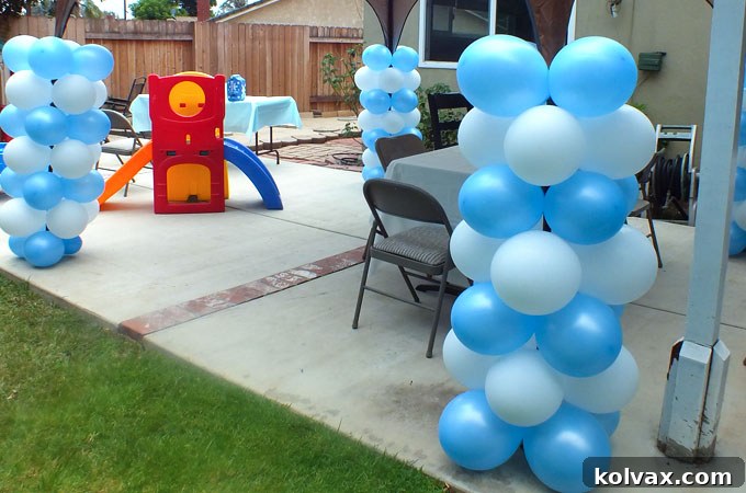 Stunning Disney Frozen themed balloon columns and banner adding a festive touch to a birthday party