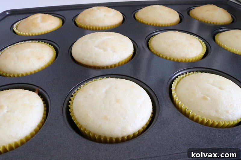 Lemon Burst Cloud Cupcakes 4 Baking the Fluffy White Cupcake Base for Your Lemon Treats