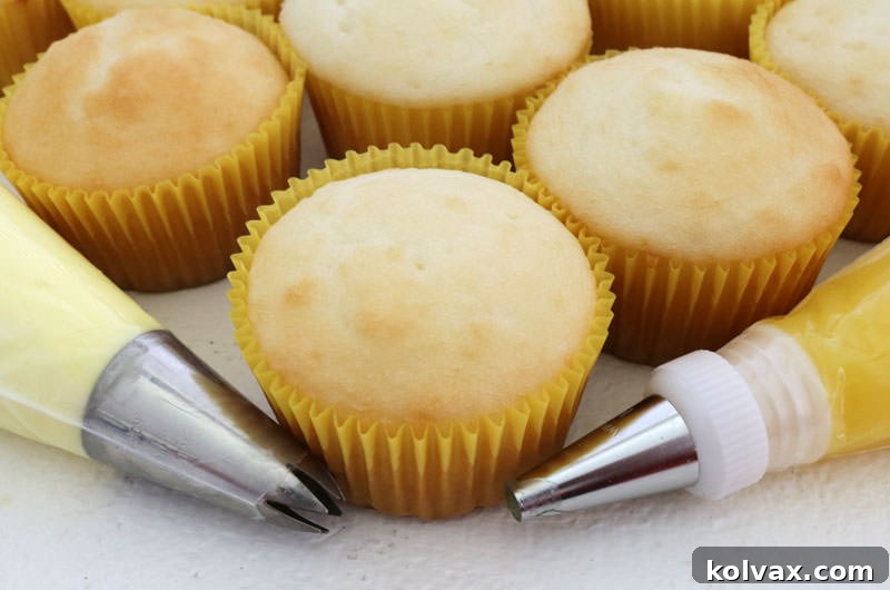 Lemon Burst Cloud Cupcakes 6 Preparing Your Tools for Assembling Lemon Curd Cupcakes