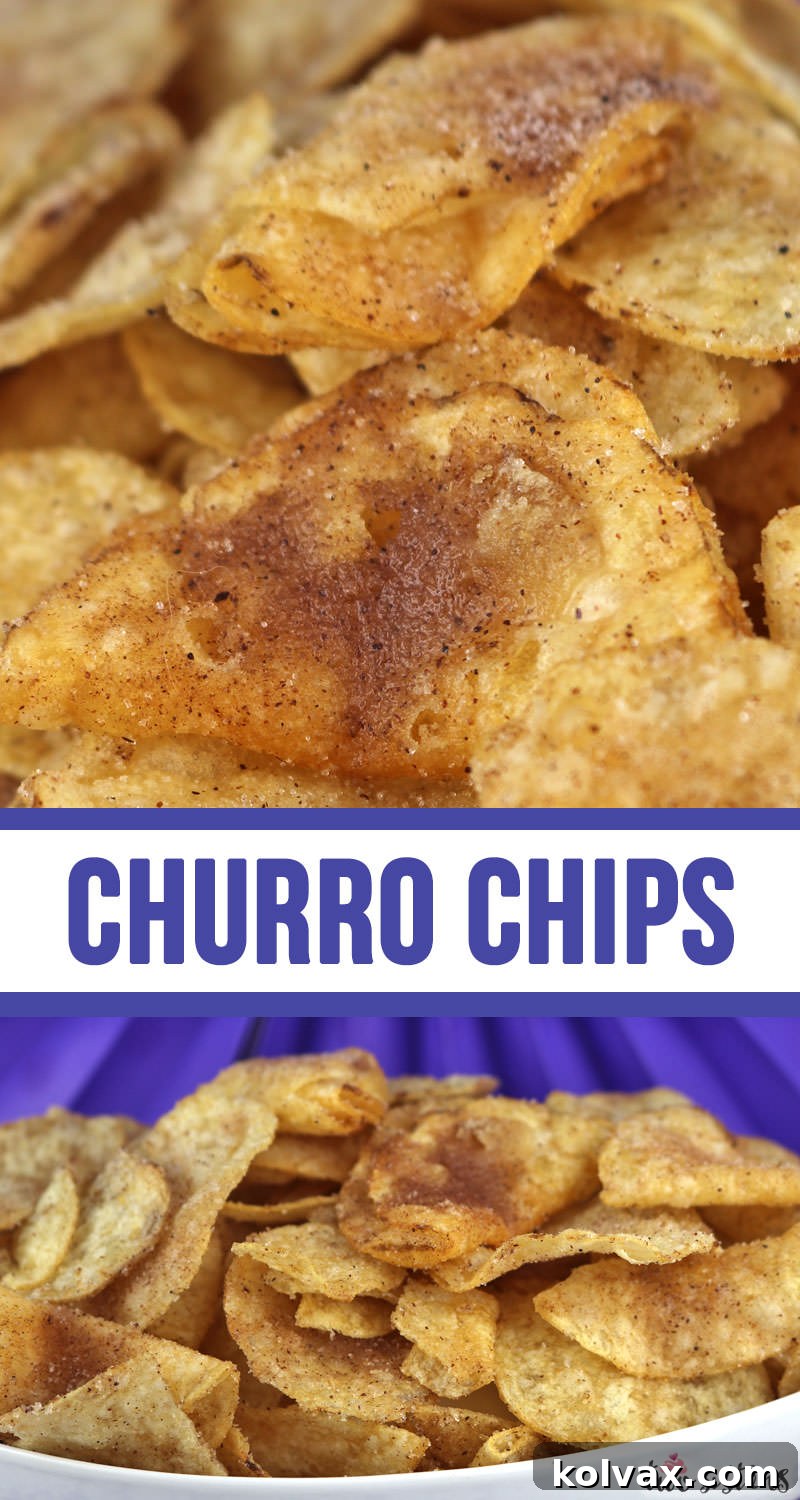 A vibrant close-up of Churro Chips, perfectly coated and ready to eat.