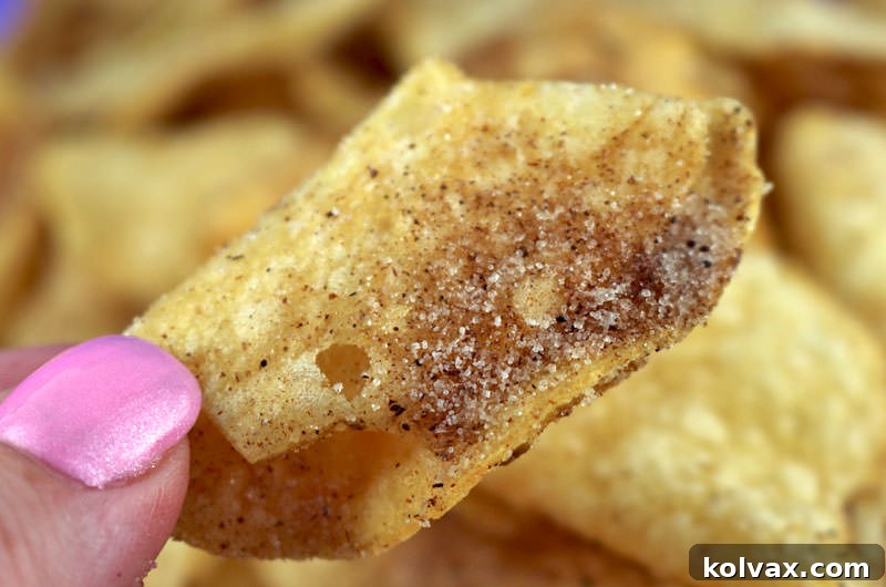 A close-up shot of delicious Churro Chips, coated with cinnamon sugar.