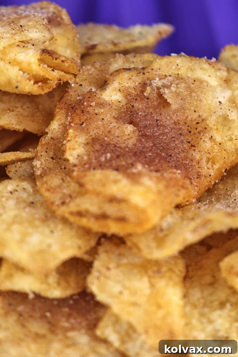 A vertical shot of Churro Chips presented in a bowl, ready to be enjoyed.