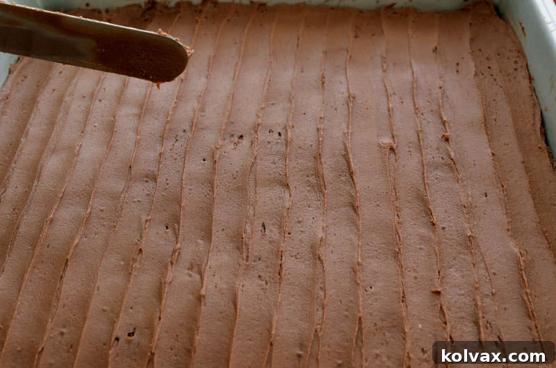 Cooling homemade chocolate brownies on a wire rack, essential before applying frosting.