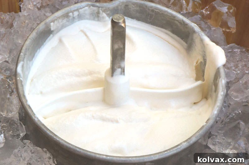 Freshly churned, soft-serve consistency vanilla ice cream inside the canister of an electric ice cream maker.