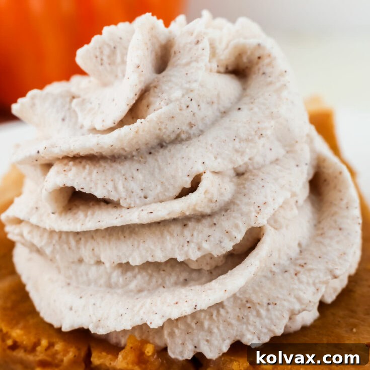 The Best Homemade Cinnamon Whipped Cream