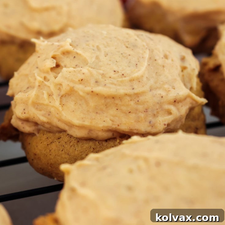 Pumpkin Cookies with Pumpkin Spice Frosting