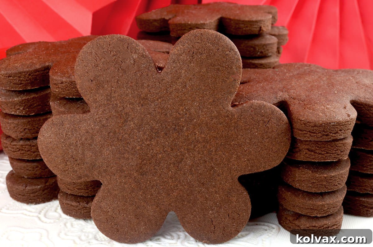 Closeup of a beautiful flower-shaped Chocolate Sugar Cookie, perfectly formed and leaning against a stack of two round chocolate sugar cookies.