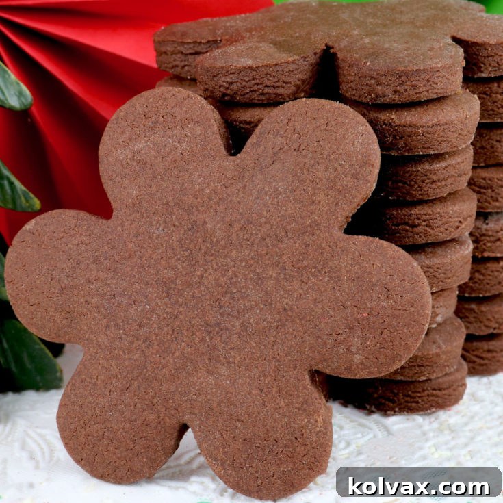 The Best Chocolate Sugar Cookie Recipe
