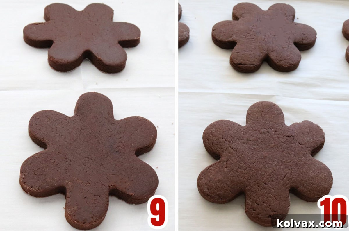 A two-panel collage showing raw chocolate sugar cookie dough cut into shapes on a baking sheet, contrasted with the same cookies baked to perfection after removal from the oven.