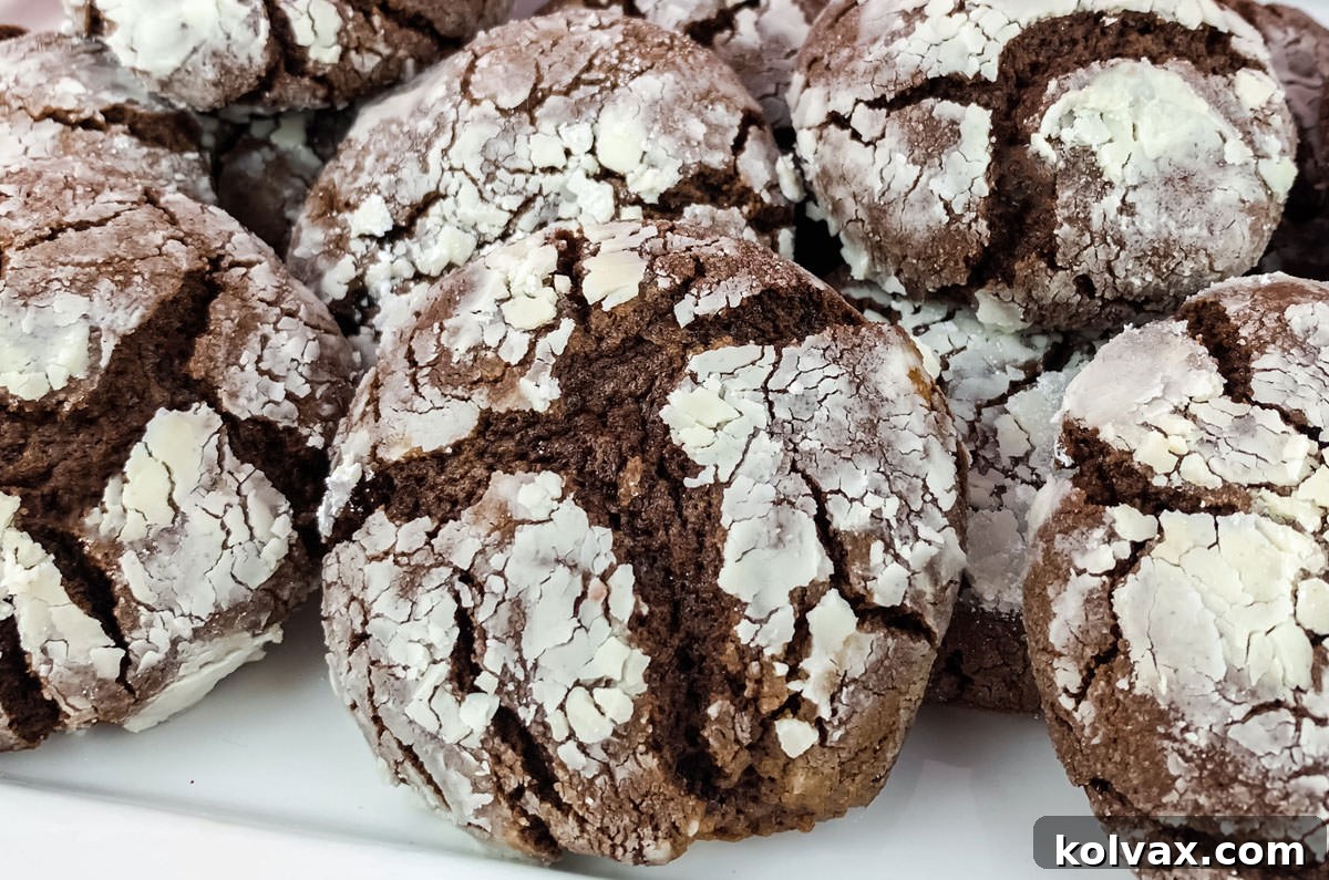 Closeup on a batch of Chocolate Crinkle Cookies sitting on a white serving plate, beautifully dusted with powdered sugar and showing signature cracks.