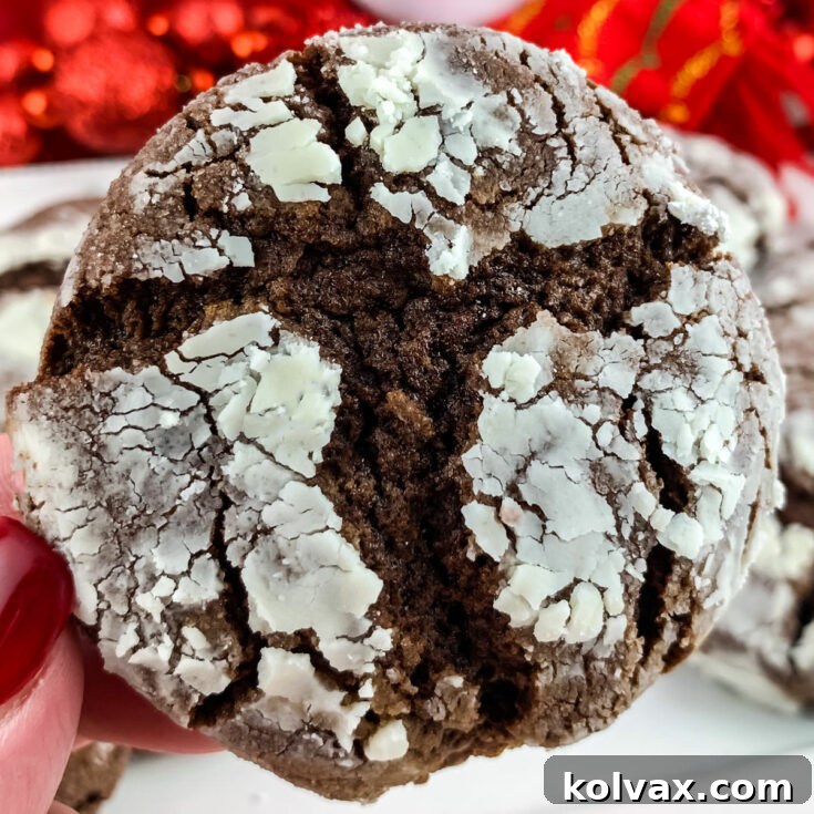 A perfectly baked Chocolate Crinkle Cookie, showing its distinct white powdered sugar cracks against a dark chocolate background.