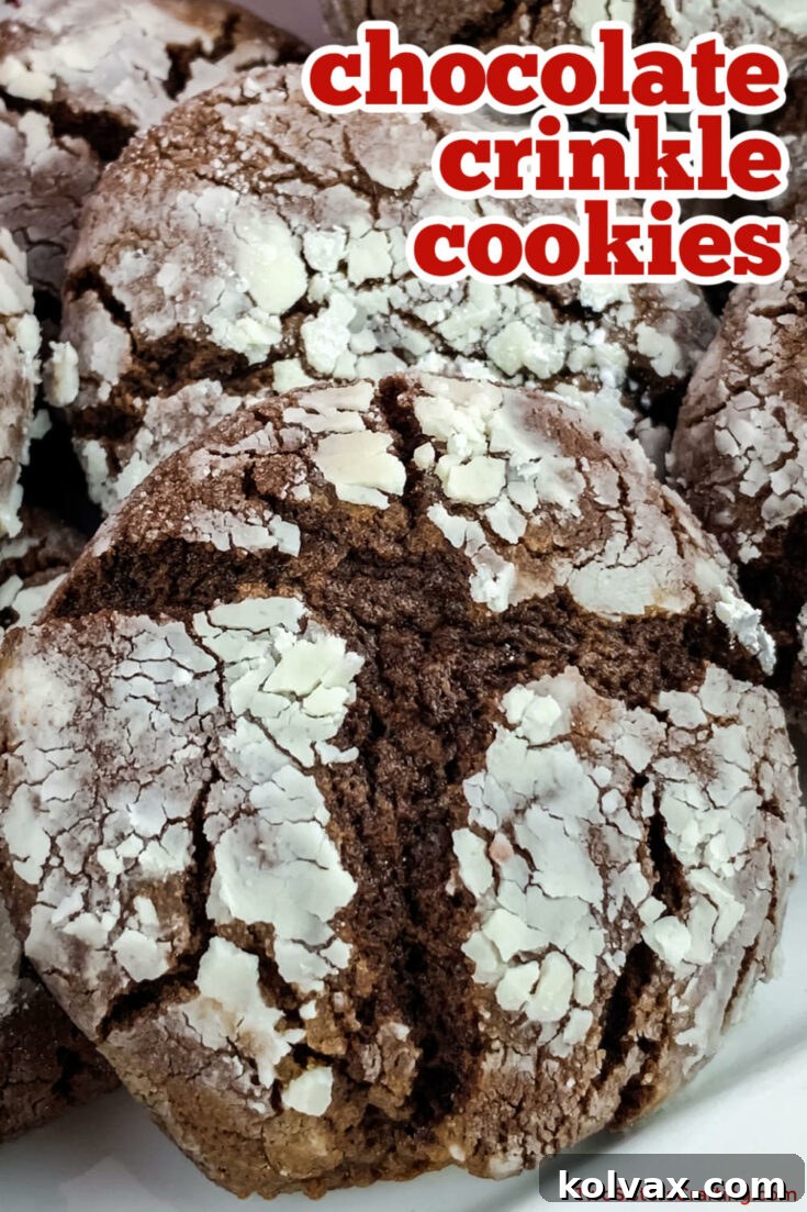 Two Sisters Crafting logo or social media graphic, inviting readers to follow for more recipes and crafts.