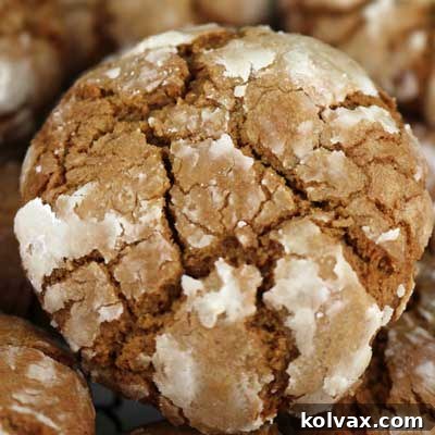 Gingerbread Crinkle Cookies dusted with powdered sugar, showcasing their signature cracks.
