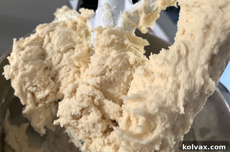 Mixer paddle coated with perfectly combined butter cookie dough.