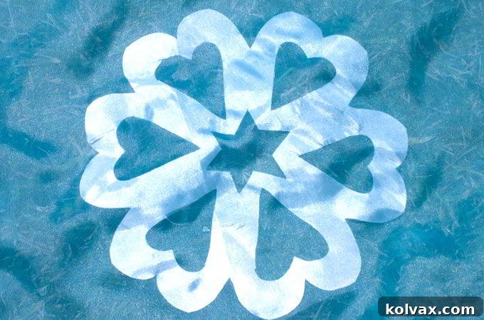 Detail of Snowflake Applique on Elsa Cape