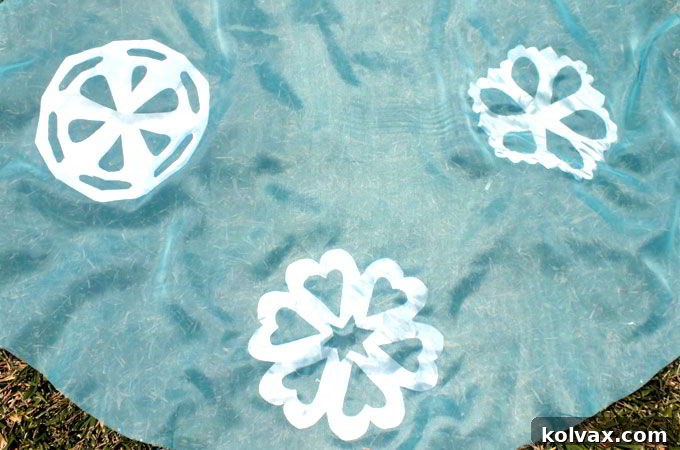 Detailed View of Snowflake Appliques