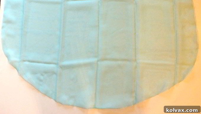 Finished Edges with Fray Check on Elsa Cape