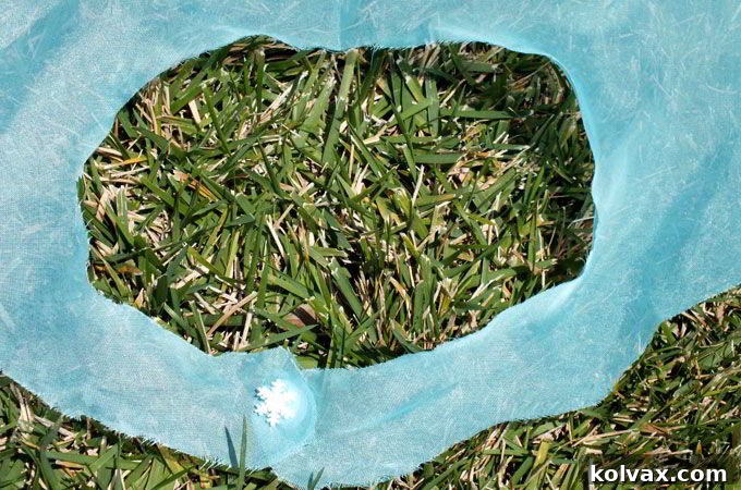 Detail of Elsa Cape Neck Clasp