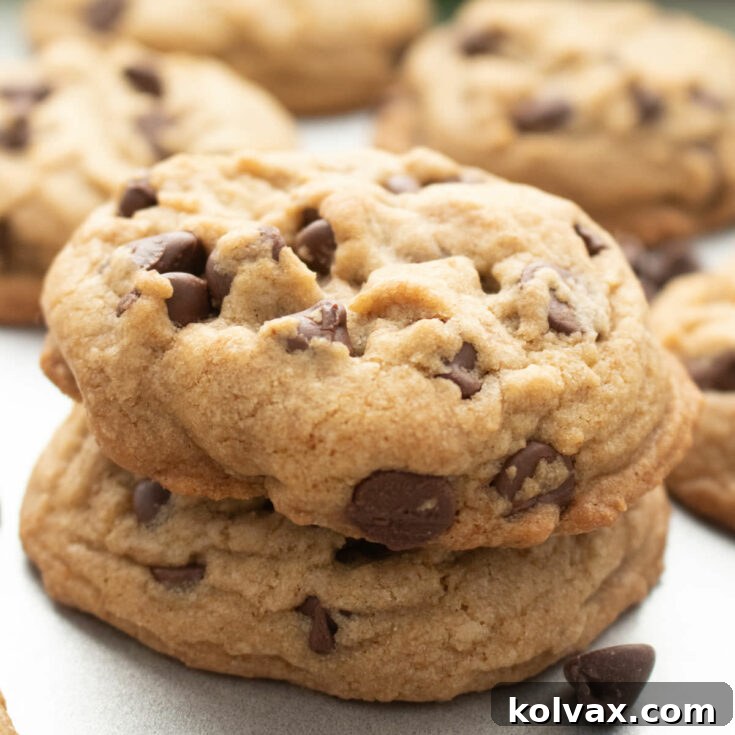 Nutty Brown Butter Chocolate Chip Perfection 7 Brown Butter Chocolate Chip Cookies