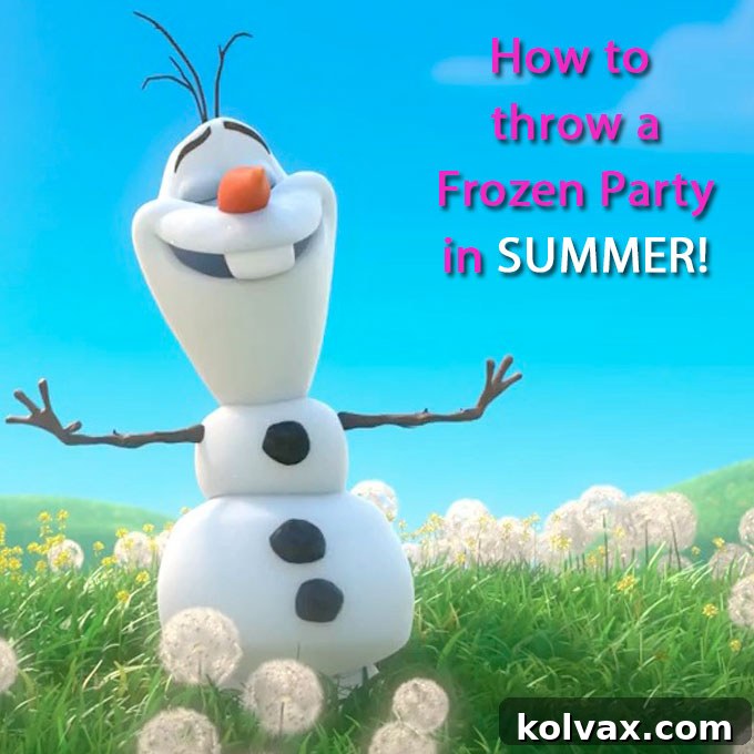Ultimate Disney Frozen Party Ideas for Summer - Transform your summer birthday into an Arendelle adventure with DIY snow, refreshing snow cones, exciting ice block races, and more magical activities for a memorable celebration.