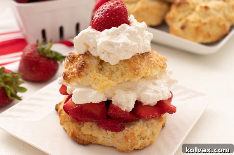Homemade Strawberry Shortcake with sweet buttermilk biscuits, fresh strawberries, and whipped cream