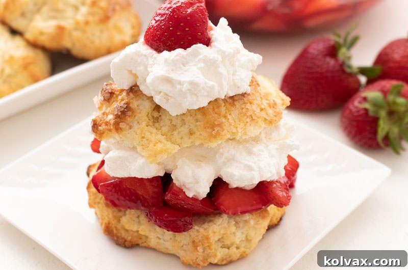 Close-up of a fully assembled Strawberry Shortcake topped with a whole strawberry.