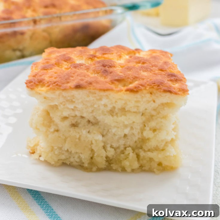 Melt-in-Your-Mouth Buttery Biscuits 7 A pan of golden-brown Butter Swim Biscuits fresh from the oven, showing their fluffy texture and buttery crust.
