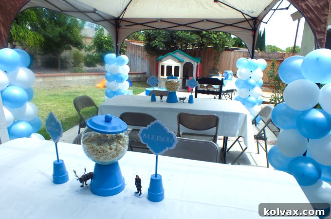 Transform your celebration into a winter wonderland! Discover enchanting Disney Frozen Party Decoration Ideas, from dazzling centerpieces and whimsical balloons to a charming melted snowman water station and elegant DIY ruffled streamers. Follow our guide for an unforgettable Frozen Birthday Party experience.