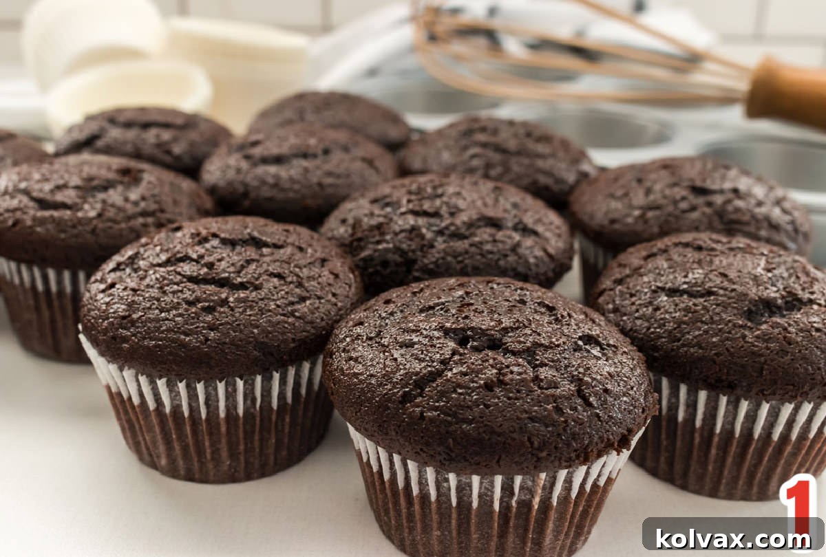 A tray of freshly baked chocolate cupcakes in white liners, waiting to be transformed into Mickey Mouse treats.